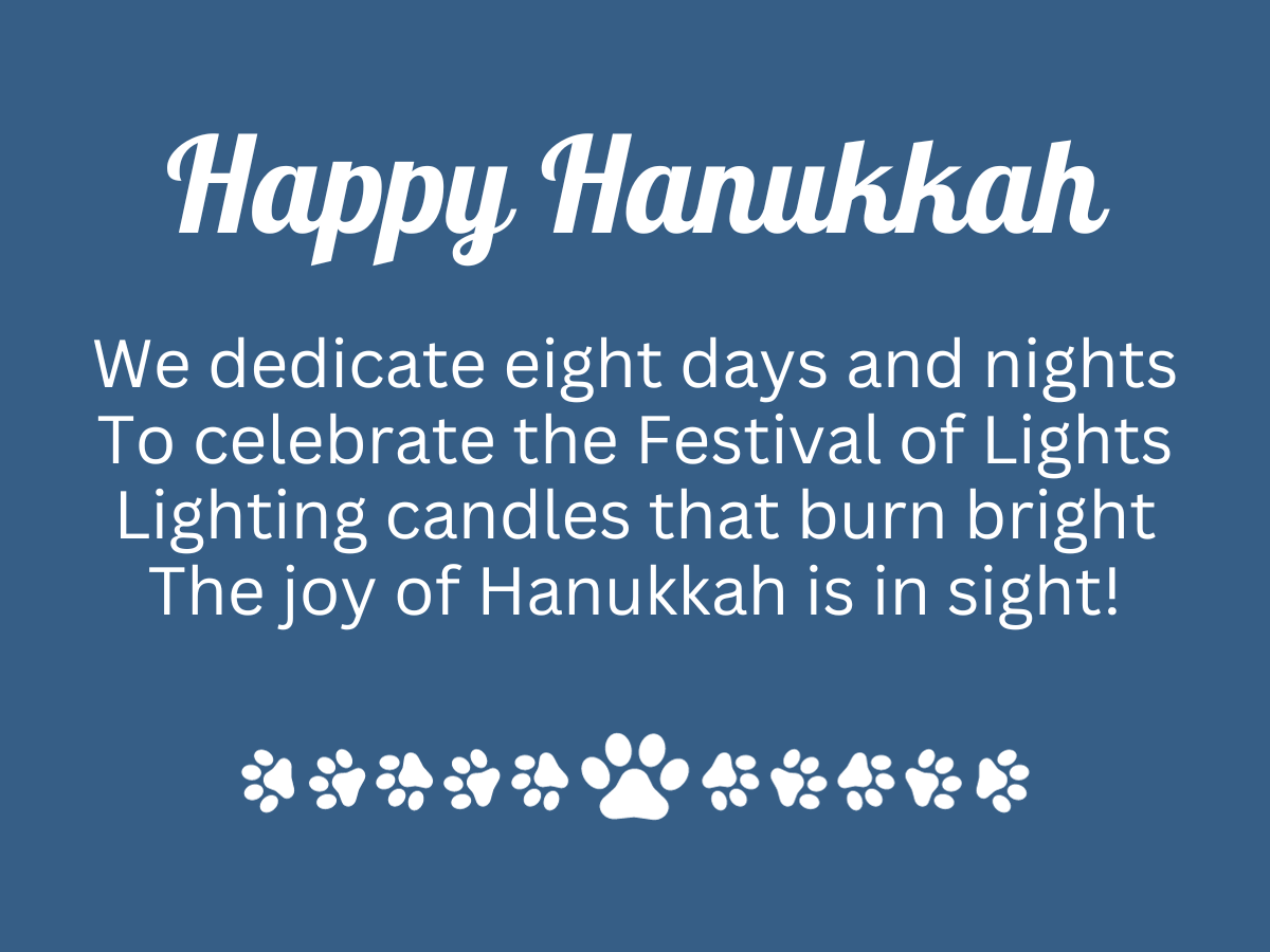 Hanukkah Celebration Set PRE ORDER