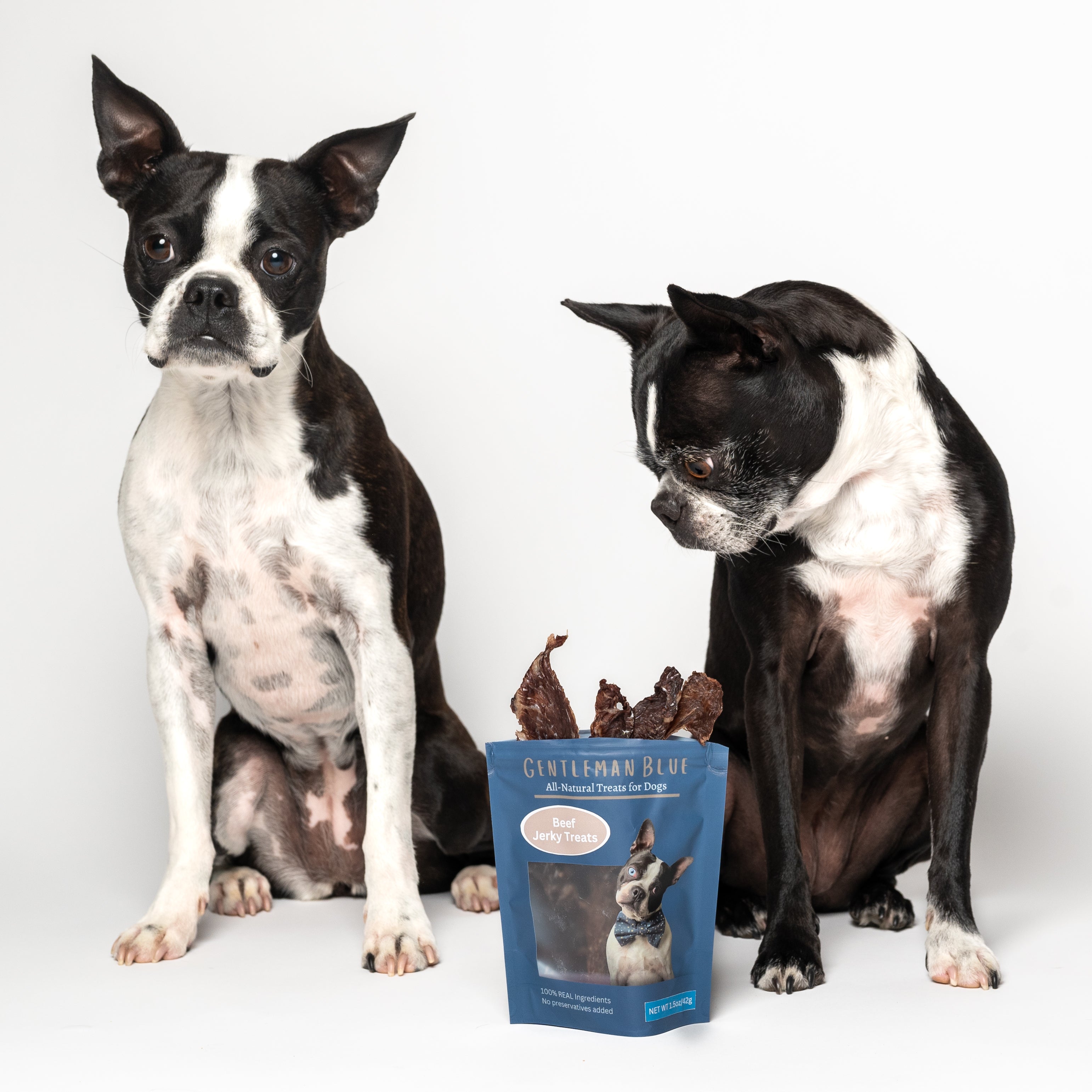 Best dog treats for boston terriers on sale