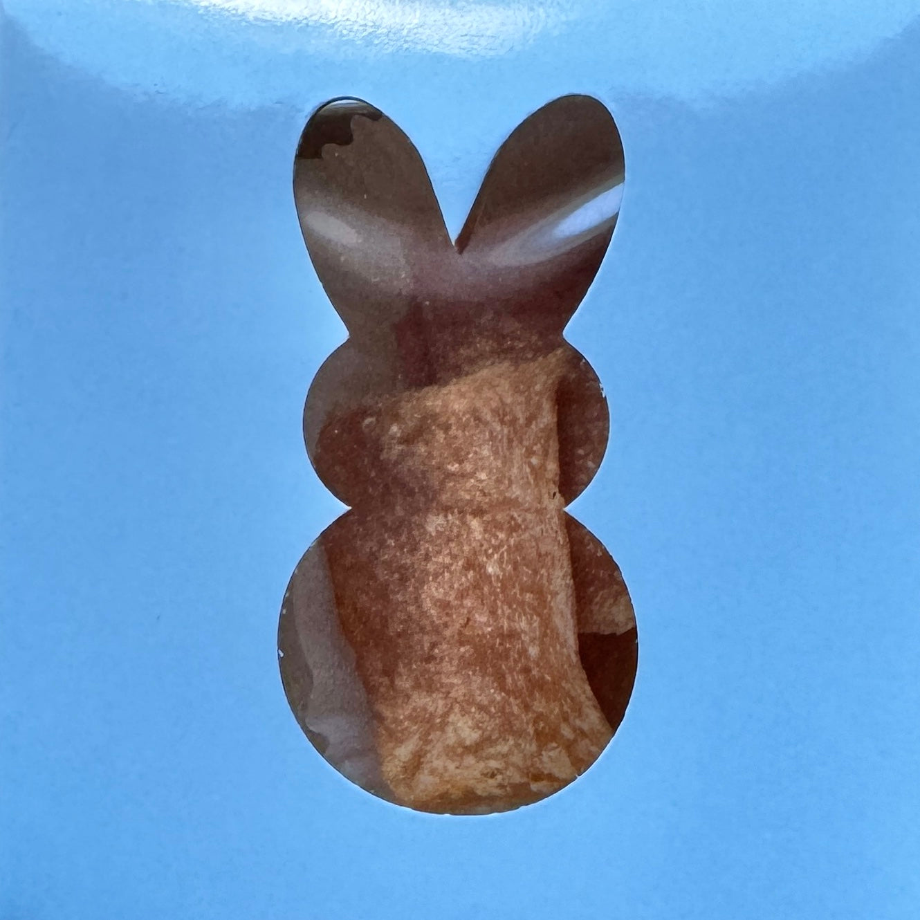 Bunny Boxes PRE-ORDER (Ships by 3/20/26)