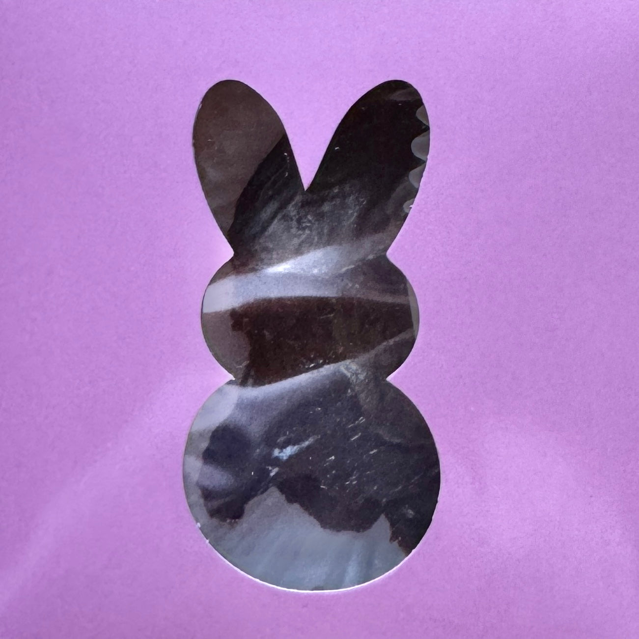 Bunny Boxes PRE-ORDER (Ships by 3/20/26)