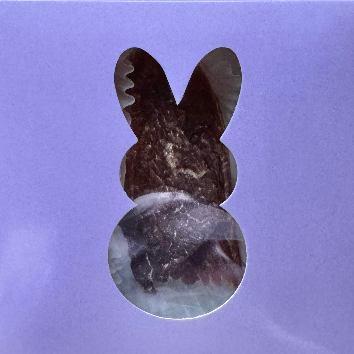 Bunny Boxes PRE-ORDER (Ships by 3/20/26)