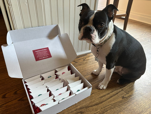 Countdown to Christmas (Traditional Advent)