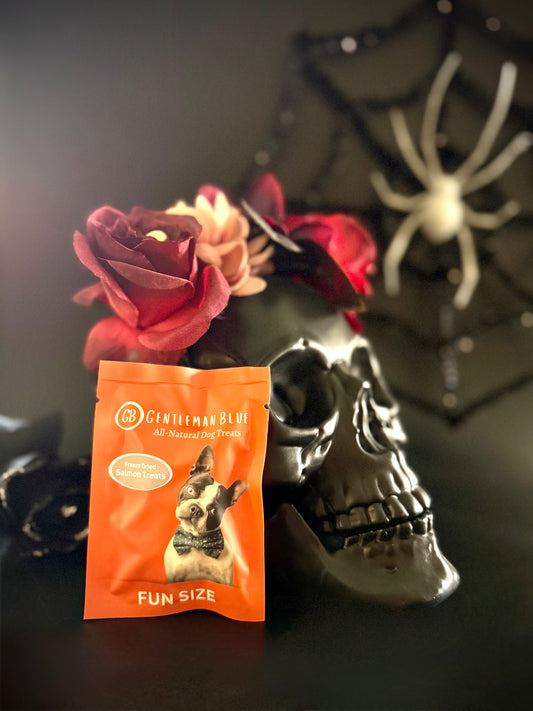 Fun Size Treat Packs for Halloween