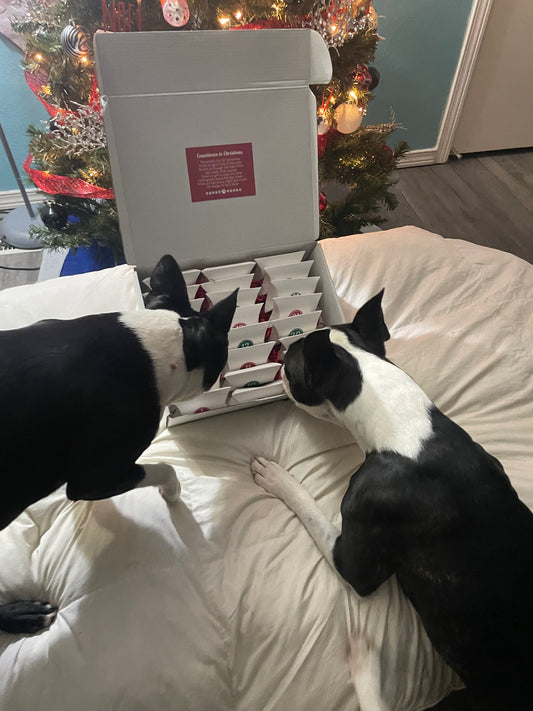 24 Day Christmas Advent PRE ORDER